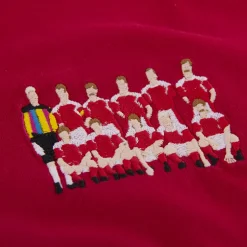 Dänemark 1992 European Champions embroidery T-Shirt